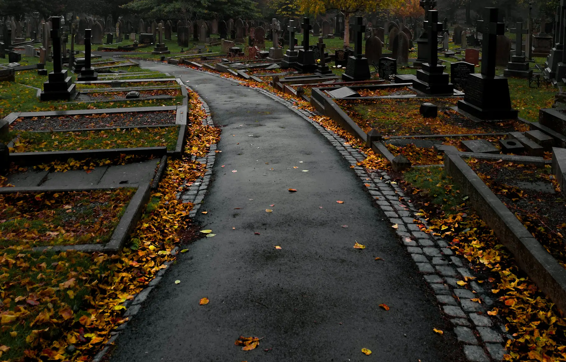 Allée d'un cimetière arboré