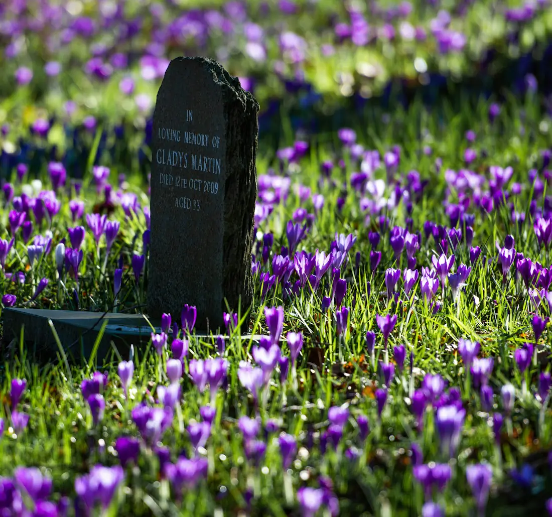 Sépulture entretenue dans un cimetière de l'Aveyron
