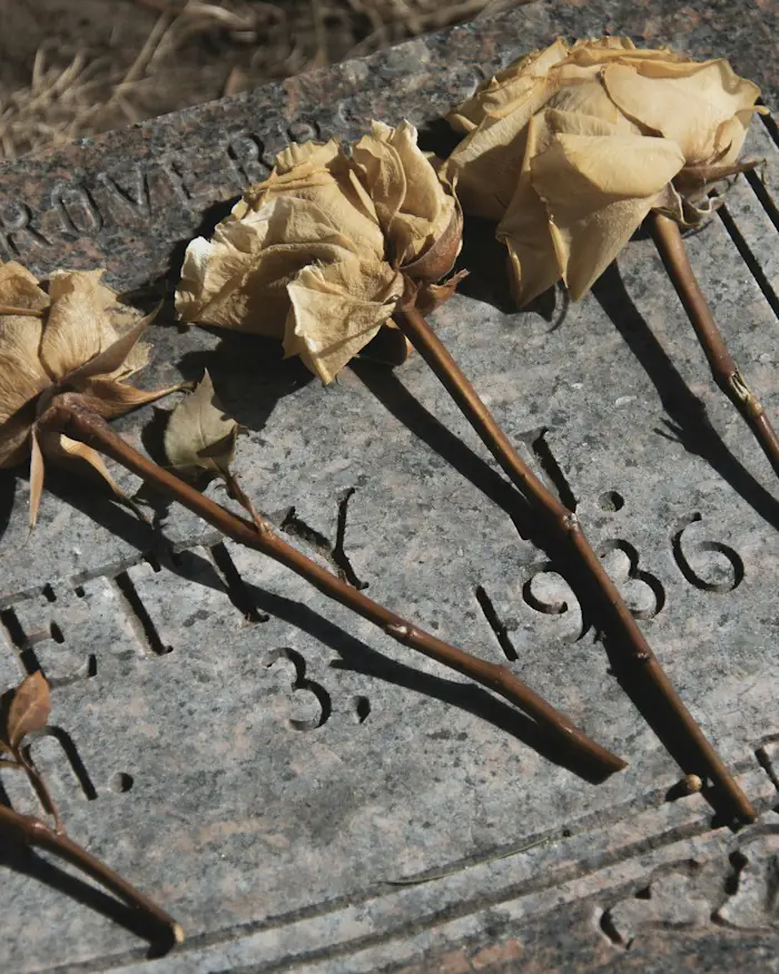 Retrait de fleurs fanées sur une tombe