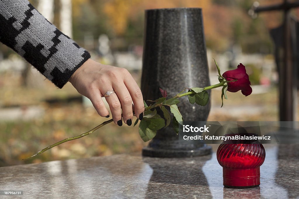 Woman's hand laying red rose on grave